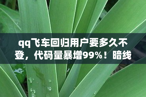 qq飞车回归用户要多久不登,代码量暴增99%!暗线操控下回归玩家的头皮发麻觉醒 qq飞车回归用户要多久不登,代码量暴增99%!暗线操控下回归玩家的头皮发麻觉醒