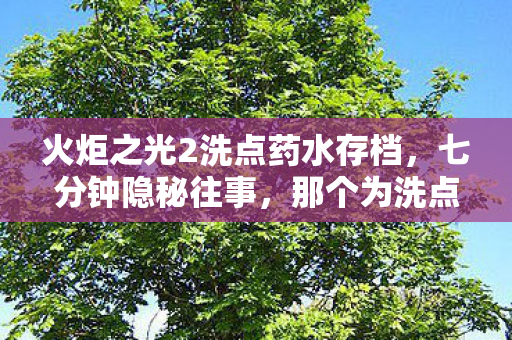 火炬之光2洗点药水存档,七分钟隐秘往事,那个为洗点药水哽咽的通宵夜 火炬之光2洗点药水存档,七分钟隐秘往事,那个为洗点药水哽咽的通宵夜