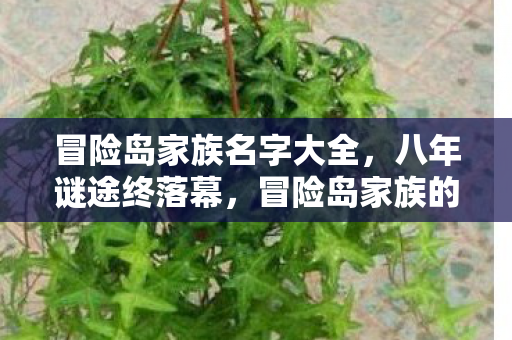冒险岛家族名字大全,八年谜途终落幕,冒险岛家族的星火在泪目中悄然熄灭 冒险岛家族名字大全,八年谜途终落幕,冒险岛家族的星火在泪目中悄然熄灭