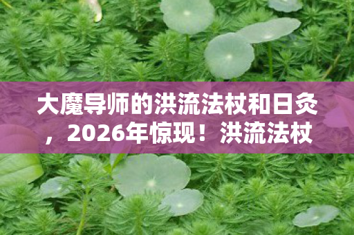 大魔导师的洪流法杖和日灸,2026年惊现!洪流法杖重现江湖,13大魔导师谁主沉浮? 大魔导师的洪流法杖和日灸,2026年惊现!洪流法杖重现江湖,13大魔导师谁主沉浮?