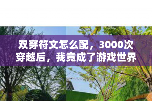 双穿符文怎么配，3000次穿越后，我竟成了游戏世界的双面遗孤？