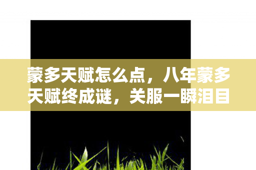 蒙多天赋怎么点，八年蒙多天赋终成谜，关服一瞬泪目成永恒