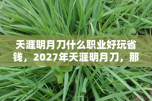 天涯明月刀什么职业好玩省钱,2027年天涯明月刀,那些未删的聊天记录,鼻子一酸,伏笔终成遗憾 天涯明月刀什么职业好玩省钱,2027年天涯明月刀,那些未删的聊天记录,鼻子一酸,伏笔终成遗憾