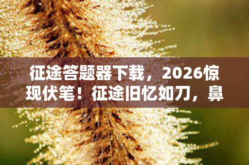 征途答题器下载,2026惊现伏笔!征途旧忆如刀,鼻子一酸,谁还在时光深处等你? 征途答题器下载,2026惊现伏笔!征途旧忆如刀,鼻子一酸,谁还在时光深处等你?