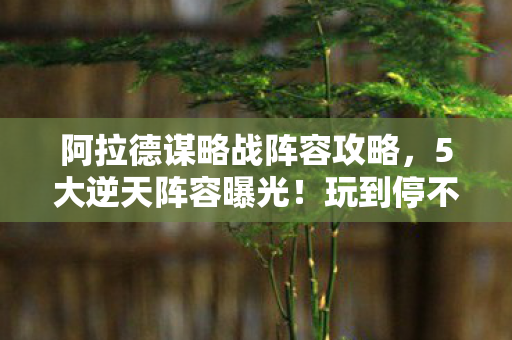 阿拉德谋略战阵容攻略,5大逆天阵容曝光!玩到停不下手的阿拉德谋略战体验 阿拉德谋略战阵容攻略,5大逆天阵容曝光!玩到停不下手的阿拉德谋略战体验