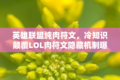 英雄联盟纯肉符文，冷知识颠覆LOL肉符文隐藏机制曝光！设计师的脑洞让你目瞪口呆