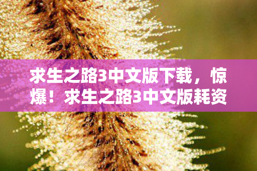 求生之路3中文版下载，惊爆！求生之路3中文版耗资5000万，隐情曝光，这操作真让人吓一跳！