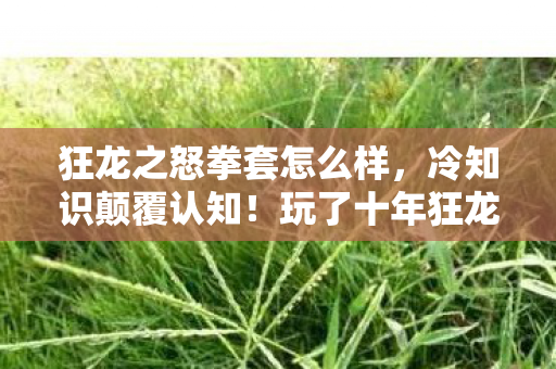 狂龙之怒拳套怎么样,冷知识颠覆认知!玩了十年狂龙之怒拳套,真相让我目瞪口呆 狂龙之怒拳套怎么样,冷知识颠覆认知!玩了十年狂龙之怒拳套,真相让我目瞪口呆