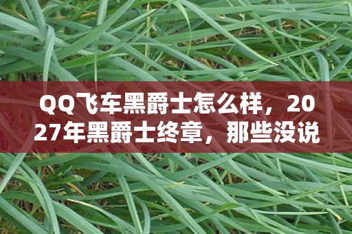 QQ飞车黑爵士怎么样,2027年黑爵士终章,那些没说出口的别走,让我鼻子一酸 QQ飞车黑爵士怎么样,2027年黑爵士终章,那些没说出口的别走,让我鼻子一酸