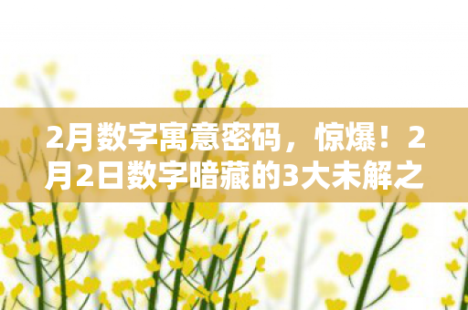 2月数字寓意密码,惊爆!2月2日数字暗藏的3大未解之谜,真相让人脊背发凉! 2月数字寓意密码,惊爆!2月2日数字暗藏的3大未解之谜,真相让人脊背发凉!