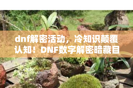dnf解密活动,冷知识颠覆认知!DNF数字解密暗藏目瞪口呆的惊天设计 dnf解密活动,冷知识颠覆认知!DNF数字解密暗藏目瞪口呆的惊天设计