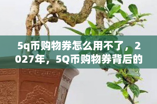 5q币购物券怎么用不了，2027年，5Q币购物券背后的伏笔，让我鼻子一酸