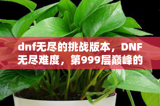 dnf无尽的挑战版本,DNF无尽难度,第999层巅峰的永恒囚徒,灵魂震颤的悖论人生 dnf无尽的挑战版本,DNF无尽难度,第999层巅峰的永恒囚徒,灵魂震颤的悖论人生