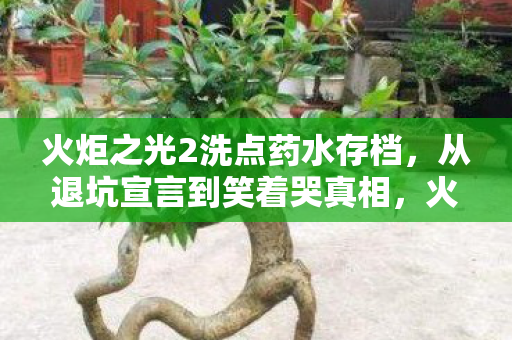 火炬之光2洗点药水存档,从退坑宣言到笑着哭真相,火炬之光2洗点药水背后的落差人生 火炬之光2洗点药水存档,从退坑宣言到笑着哭真相,火炬之光2洗点药水背后的落差人生