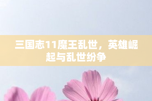 三国志11魔王乱世，英雄崛起与乱世纷争