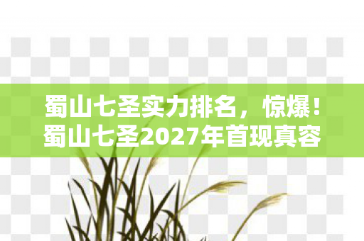 蜀山七圣实力排名,惊爆!蜀山七圣2027年首现真容,背后竟藏千年未解之谜? 蜀山七圣实力排名,惊爆!蜀山七圣2027年首现真容,背后竟藏千年未解之谜?