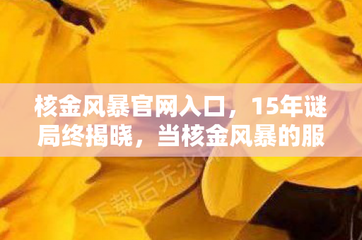 核金风暴官网入口,15年谜局终揭晓,当核金风暴的服务器最后一次闪烁,泪目了整个时代 核金风暴官网入口,15年谜局终揭晓,当核金风暴的服务器最后一次闪烁,泪目了整个时代