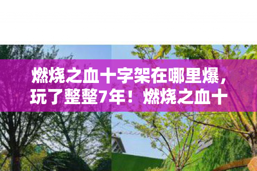 燃烧之血十字架在哪里爆,玩了整整7年!燃烧之血十字架,是继续坚守还是彻底告别? 燃烧之血十字架在哪里爆,玩了整整7年!燃烧之血十字架,是继续坚守还是彻底告别?