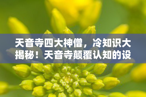 天音寺四大神僧,冷知识大揭秘!天音寺颠覆认知的设计,让你目瞪口呆! 天音寺四大神僧,冷知识大揭秘!天音寺颠覆认知的设计,让你目瞪口呆!