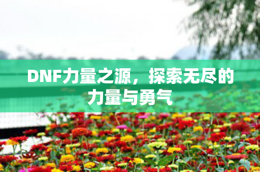 DNF力量之源，探索无尽的力量与勇气