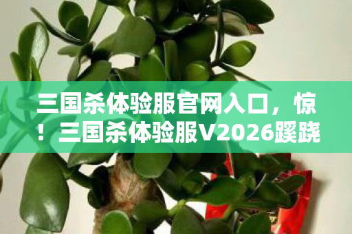 三国杀体验服官网入口,惊!三国杀体验服V2026蹊跷大改,老玩家直呼这还是我青春? 三国杀体验服官网入口,惊!三国杀体验服V2026蹊跷大改,老玩家直呼这还是我青春?