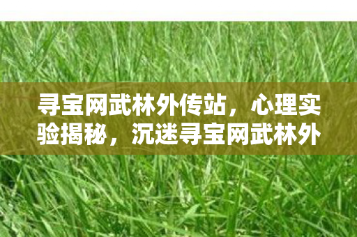 寻宝网武林外传站,心理实验揭秘,沉迷寻宝网武林外传竟是大脑被操控?细思极恐! 寻宝网武林外传站,心理实验揭秘,沉迷寻宝网武林外传竟是大脑被操控?细思极恐!