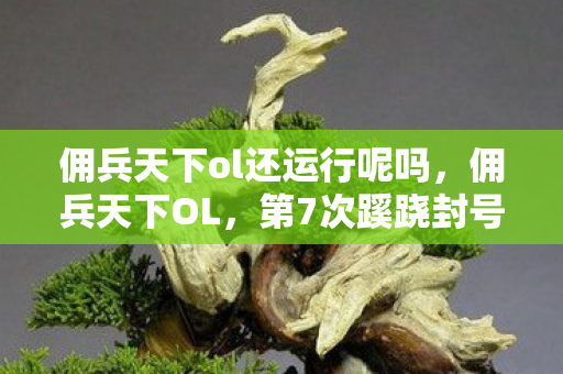 佣兵天下ol还运行呢吗,佣兵天下OL,第7次蹊跷封号背后,竟藏着让老玩家后背发凉的真相 佣兵天下ol还运行呢吗,佣兵天下OL,第7次蹊跷封号背后,竟藏着让老玩家后背发凉的真相