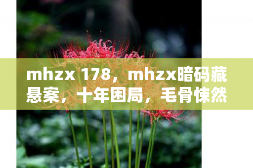 mhzx 178，mhzx暗码藏悬案，十年困局，毛骨悚然真相待揭