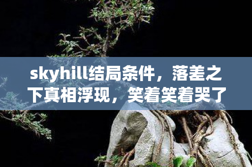 我竟还在等Skyhill的奇迹图片