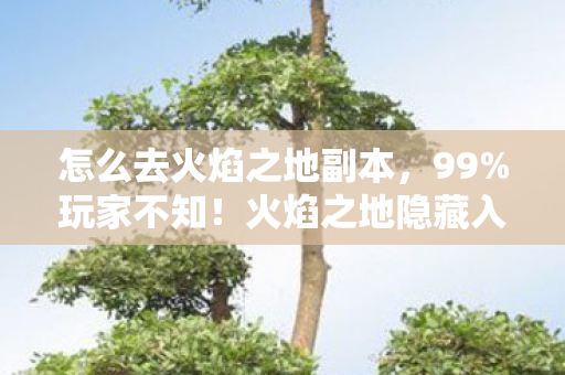 火焰之地隐藏入口竟藏这3个致命陷阱图片