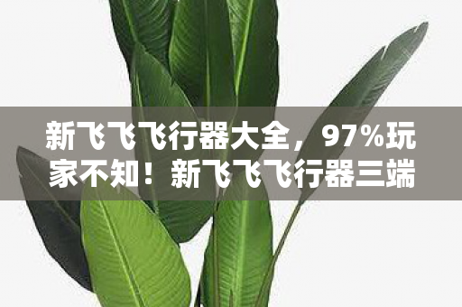 新飞飞飞行器三端操控竟差出银河系图片