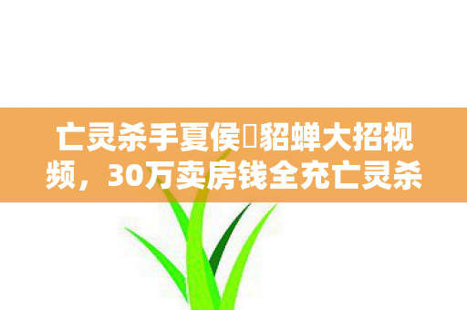 亡灵杀手夏侯惇貂蝉大招视频图片