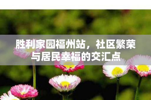 胜利家园福州站，社区繁荣与居民幸福的交汇点