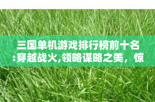 三国单机游戏TOP10背后图片