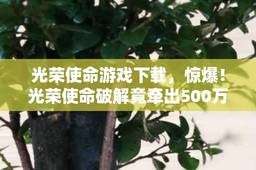 光荣使命破解竟牵出500万隐情图片