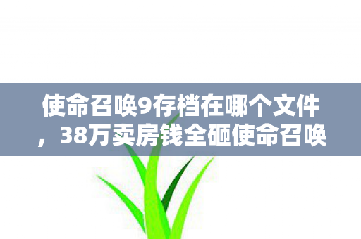 38万卖房钱全砸使命召唤9图片