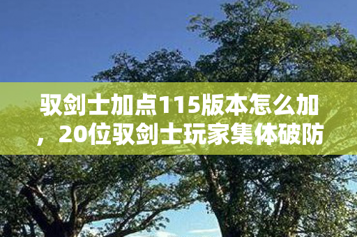 驭剑士加点115版本怎么加，20位驭剑士玩家集体破防！加点争议大到绷不住，这操作是官方暗改还是手残？