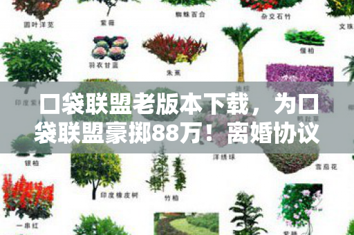 口袋联盟老版本下载，为口袋联盟豪掷88万！离婚协议藏隐情，真相让人吓一跳！