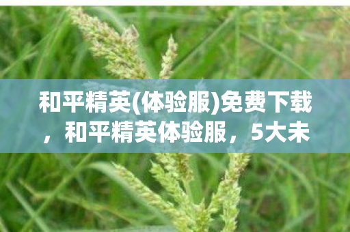 和平精英(体验服)免费下载,和平精英体验服,5大未解之谜,触动了多少老玩家的DNA? 和平精英(体验服)免费下载,和平精英体验服,5大未解之谜,触动了多少老玩家的DNA?