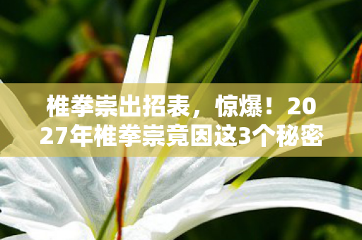 椎拳崇出招表,惊爆!2027年椎拳崇竟因这3个秘密,让格斗界彻底沸腾! 椎拳崇出招表,惊爆!2027年椎拳崇竟因这3个秘密,让格斗界彻底沸腾!
