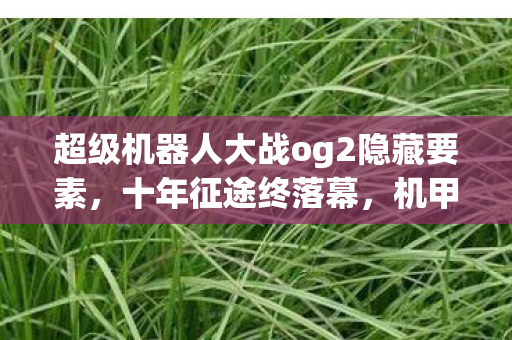 超级机器人大战og2隐藏要素,十年征途终落幕,机甲谜影何处寻?泪目告别OG2! 超级机器人大战og2隐藏要素,十年征途终落幕,机甲谜影何处寻?泪目告别OG2!