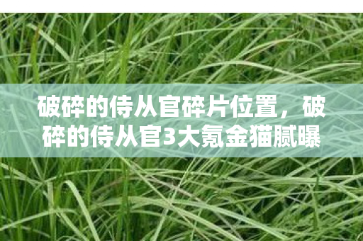 破碎的侍从官碎片位置,破碎的侍从官3大氪金猫腻曝光!这波操作让我直接上头卸载! 破碎的侍从官碎片位置,破碎的侍从官3大氪金猫腻曝光!这波操作让我直接上头卸载!