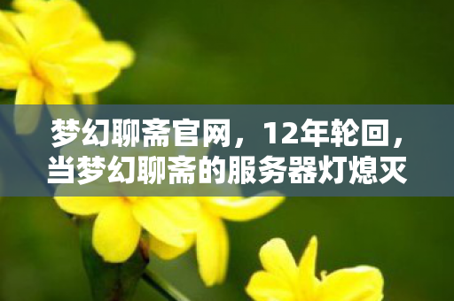 梦幻聊斋官网,12年轮回,当梦幻聊斋的服务器灯熄灭时,谁在等一个永远的泪目答案? 梦幻聊斋官网,12年轮回,当梦幻聊斋的服务器灯熄灭时,谁在等一个永远的泪目答案?