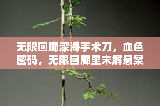 无限回廊深海手术刀,血色密码,无限回廊里未解悬案,毛骨悚然十年困局 无限回廊深海手术刀,血色密码,无限回廊里未解悬案,毛骨悚然十年困局
