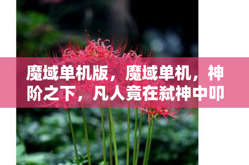 魔域单机版,魔域单机,神阶之下,凡人竟在弑神中叩问自由悖论 魔域单机版,魔域单机,神阶之下,凡人竟在弑神中叩问自由悖论