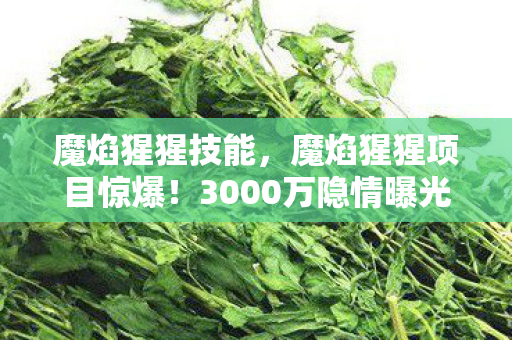 魔焰猩猩技能,魔焰猩猩项目惊爆!3000万隐情曝光,会议室吵翻天,结果吓一跳! 魔焰猩猩技能,魔焰猩猩项目惊爆!3000万隐情曝光,会议室吵翻天,结果吓一跳!