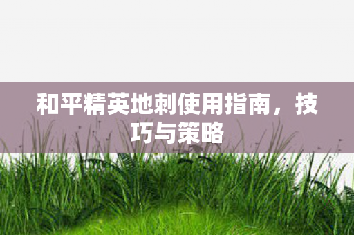 和平精英地刺使用指南，技巧与策略