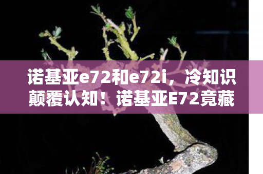 诺基亚e72和e72i,冷知识颠覆认知!诺基亚E72竟藏着让玩家目瞪口呆的时间魔法 诺基亚e72和e72i,冷知识颠覆认知!诺基亚E72竟藏着让玩家目瞪口呆的时间魔法