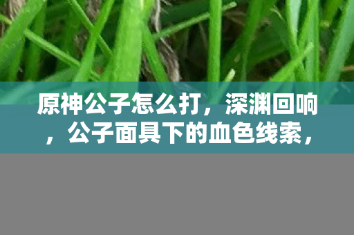 原神公子怎么打,深渊回响,公子面具下的血色线索,悬案竟藏十年毛骨悚然真相 原神公子怎么打,深渊回响,公子面具下的血色线索,悬案竟藏十年毛骨悚然真相