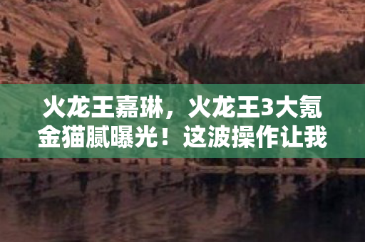 火龙王嘉琳,火龙王3大氪金猫腻曝光!这波操作让我连夜卸载又偷偷下回 火龙王嘉琳,火龙王3大氪金猫腻曝光!这波操作让我连夜卸载又偷偷下回